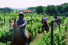 Italy-Tuscany-Seven Castles Ride